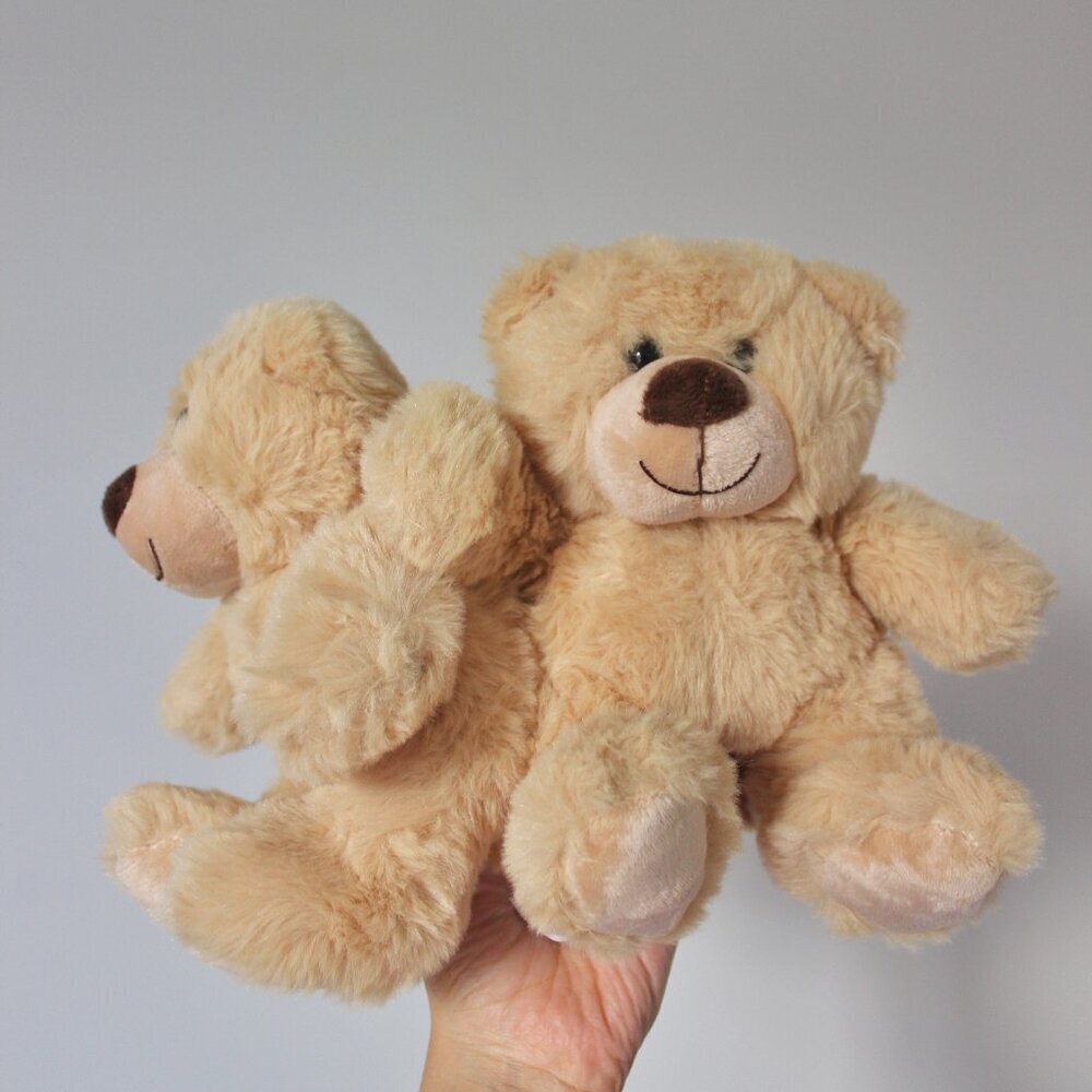 2 set twin teddy bear toy